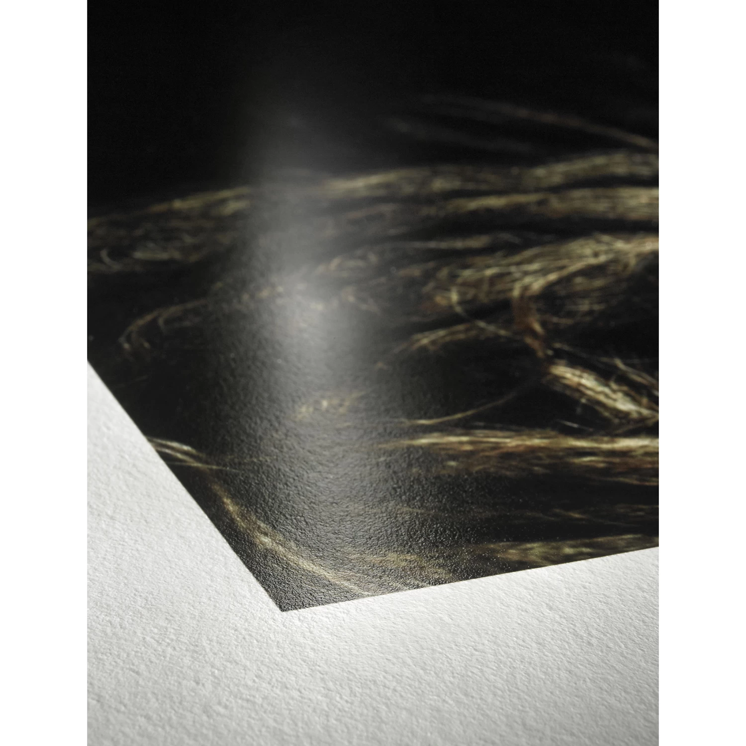 Hahnemühle Photo Rag Baryta Inkjet Photo Cards - Image 4