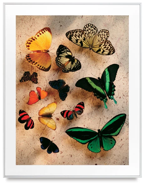 Leader Picture Frames