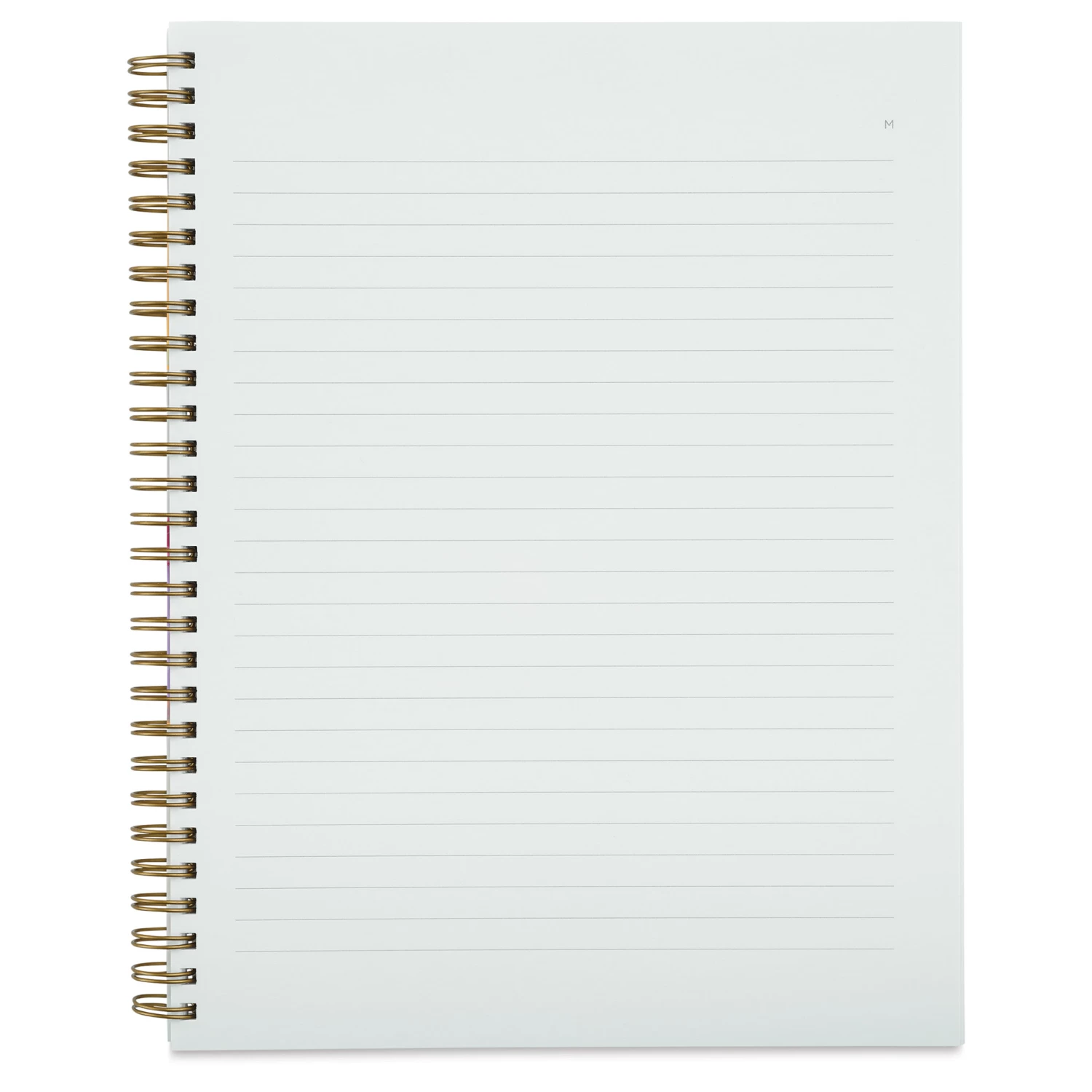 Moglea Painted Workbooks - Image 4