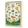 Cavallini Foraging Boxed Note Cards